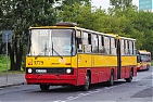 5779-382.jpg