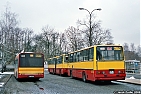 6374-525.jpg