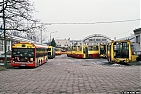 8730-2010.jpg