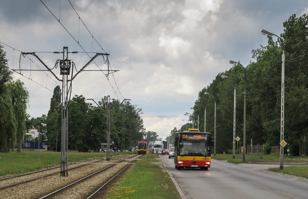 1307
Osiełeł na objeździe. Pozdrowienia dla kierowcy !
Słowa kluczowe: NM223 1307 Annopol 134