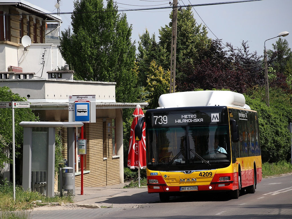 4209
MANy na gaz wypierają szarpaki z linii obsługiwanych przez Kleszczową.
Słowa kluczowe: LionsCityCNG 4209 739 Józefosław Wilanowska