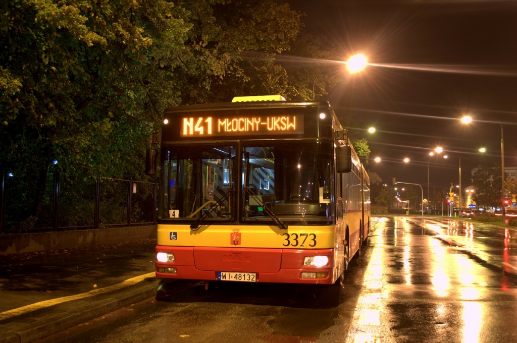 3373
Jakby był ktoś chętny , wytłumacz mi jak usuwa się flary ze zdjęć , i jak obsługiwać gimpa , to był bym wdzięczny :) . 
Słowa kluczowe: NG313 3373 N41 PlacWilsona