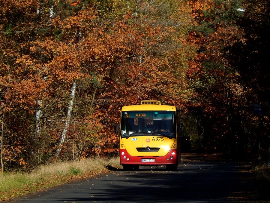 A375
W wolną sobotę postanowiłem wybrać się na jakieś jesienne foty w okolice Falenicy. Pozdrowienia dla spotkanych JasieK-a oraz minu8399.
Słowa kluczowe: H7-20 Solina A375 161 KwitnącejAkacji