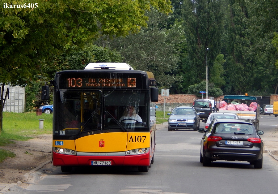 A107
Objazd dla linii 103 został poprowadzony ulicami: Wawrzyszewska, Obozowa, Al. Prymasa Tysiąclecia, Górczewska i dalej swoją trasą do Dworca Zachodniego (Tunelowa). Od Jutra zostanie poprowadzony drugi objazd w stronę Młocin. Będzie on przebiegał ulicami: Żytnia, Młynarska, Obozowa, Wawrzyszewska i dalej swoją trasą do Metra Młociny. Objazdy są spowodowane przez przebudowę magistrali wodociągowej w ul. Ostroroga
Słowa kluczowe: SU12 103 A107 Wawrzyszewska