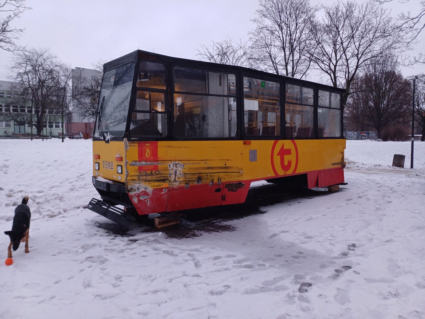 1342
Wagon 1342 zaparkowany na tyłach PDT Wola. Pojazd stał tam tylko kilkanaście godzin. Docelowo ma stać się elementem wystroju wnętrza w PDT Wola.
Na pojeździe wciąż widać ślady przygody drogowej, z powodu której został ostatecznie skreślony ze stanu i sprzedany.
Słowa kluczowe: 1342