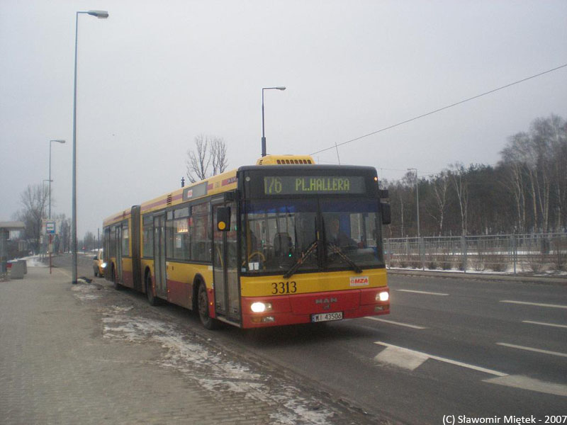 3313
Słowa kluczowe: NG313 3313 176 Odrowąża 2007