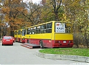 1062-kasy2008-2.JPG