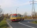 c42_2320_wolczynska_2008-11-02.jpg