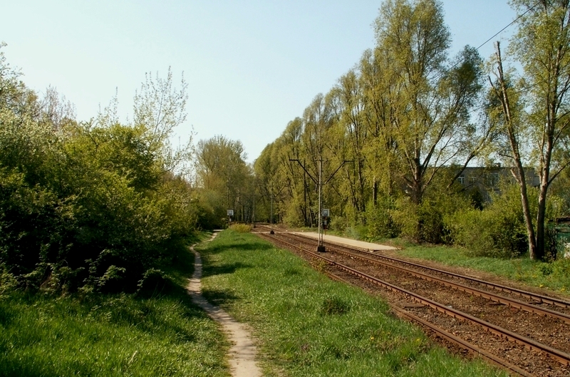 ZGRUPOWANIA AK KAMPINOS (ex PSTROWSKIEGO)
Cóż to był za przystanek... Pośrodku niczego, kroków kilka od liceum (ale wykonywanych z przestrachem ze względu na okoliczną meneliczność), zielono... A teraz - zieleń poszła precz (no dobra - ekrany póki co też zielone), po przystanku śladu nie ma, dobrze, że tory pozostały...
Słowa kluczowe: ZgrupowaniaAKKampinos Pstrowskiego 2009