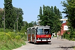 wz28307.JPG