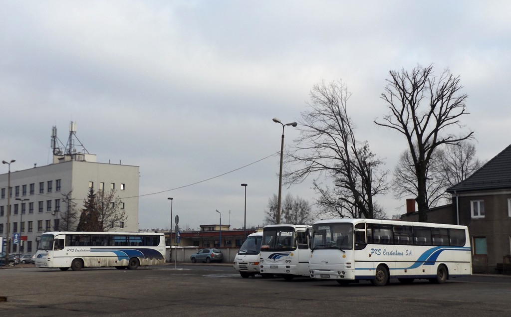 00008
Na koniec serii z grodu Jasnej Góry dwa z 25 Autosanów A1010T z PKS Częstochowa na częstochowskim dworcu autobusowym. Z prawej strony 00008 ( rocznik 2000 ), zaś z lewej strony 40016 ( rocznik 2004 ).
Ode mnie jeszcze życzenia udanego i szczęśliwego  nadchodzącego roku oraz przeżytego bez problemów Sylwestra.

Słowa kluczowe: A1010T 00008 40016 DworzecPKS