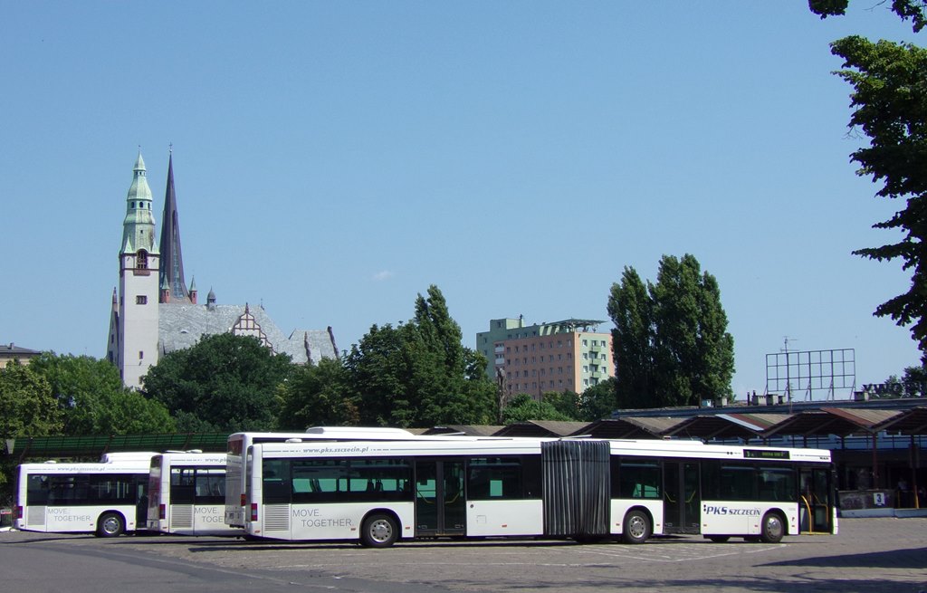 10350
MAN NG313 - 10350, rocznik 2001, w PKS Szczecin od zeszłego roku ( wcześniej jeździł w Würzburgu ).
PKS Szczecin ma 25 przegubowych MAN-ów trzeciej generacji.
Słowa kluczowe: NG313 10350 1 DworzecPKS