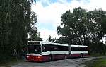 2885-11812.JPG