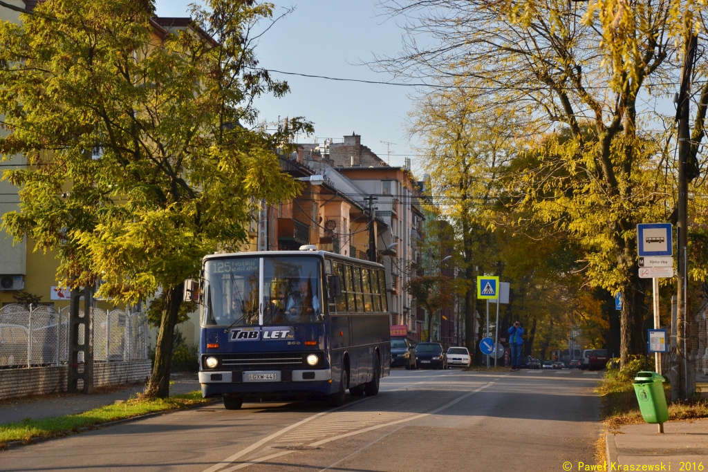 GXW-443
Krótkich Ikarusów z serii 2xx zostało chyba dużo mniej niż przegubów (z tego co zaobserwowałem). Sporo ich jeździ na liniach zaczynających trasę na pętli Bosnyák tér, m. in. 112, 124, 125 i 277.
Słowa kluczowe: IK260 GXW-443 125 Budapeszt TelepesUtca