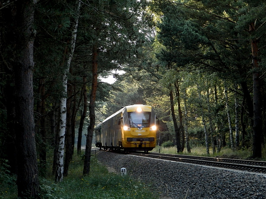 SA138-001
Newag w lesie na trasie pomiędzy Jastarnią a Kuznicą.
Słowa kluczowe: SA138 SA138-001 Jastarnia