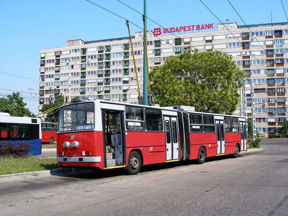 Ikarus 280.94
Być w Budepeszcie i nie mieć zdjęcia Ikarusa, to jak być w Rzymie i nie widziec Papieża. Tutejszy klimat wyraźnie sprzyja tym pojazdom - już na pierwszy rzut oka wydają się być znacznie mniej przekorodowane niż egzemplarze z tych samych lat jeżdżące po Warszawie. A może tak o nie tam dbają, że co parę lat NG i wyjeżdża niemal nówka?

fot. Rafał Muszczynko
Słowa kluczowe: Węgry Budapeszt OrsVezerTere Ik280 227 81