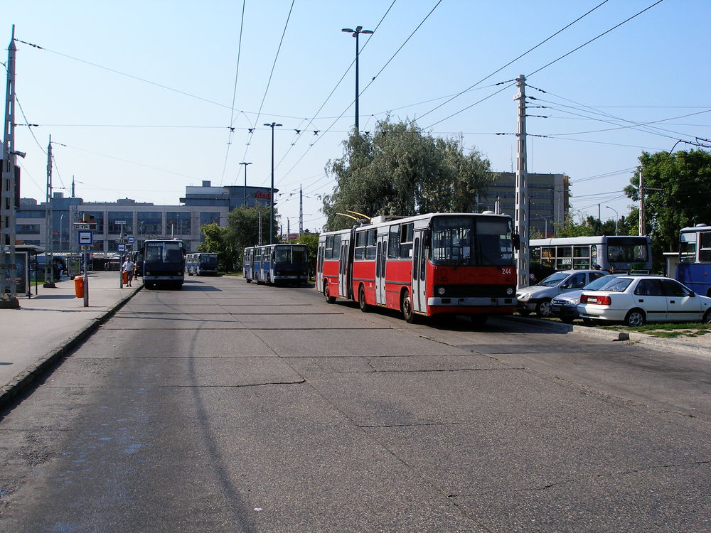 Czerwony znaczy "pod napięciem"
Ciekawe, że w ramach jednego miasta autobusy maluje się w Budapeszcie na zupełnie inny kolor (niebieski) niż trolejbusy. Inną ciekawostką może być fakt, że gdy 280-tki pędzone prądem mają znane u nas mosty Rapy, autobusy z tradycyjnymi silnikami diesla posiadają czasem zupełnie inne osie napędowe (Csepel?). W Warszawie był przez pewien czas jeden Ikarus 260 z taką osią.

fot. Rafał Muszczynko
Słowa kluczowe: Węgry Budapeszt OrsVezerTere Ik280 244 81