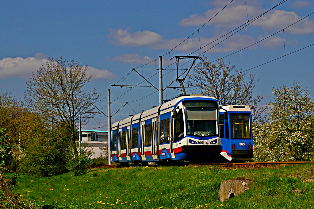 Pesa 122N #365
Drugi bydgoski Tramicus na jedynej niskopodłogowej kolejności linii 4 kieruje się w stronę pętli Glinki.
Słowa kluczowe: 122N 365 4 Toruńska objazd