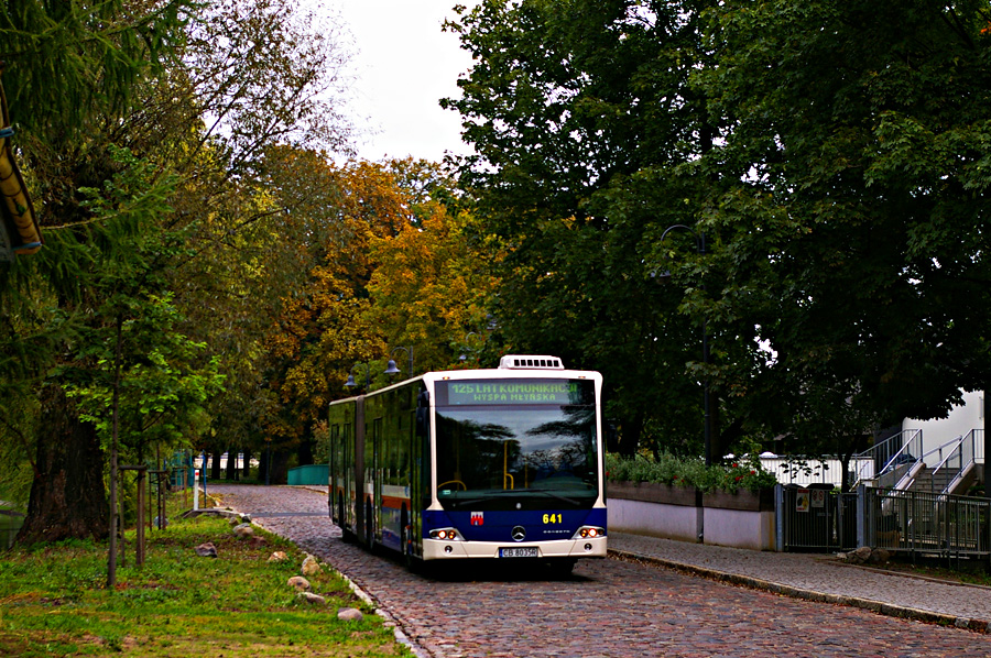 Mercedes Conecto LF G #641
Drugi bydgoski długi kebab dojeżdża na Wyspę Młyńska, gdzie będzie udostępniony zwiedzającym w ramach  125 lecia komunikacji miejskiej w Bydgoszczy.
Słowa kluczowe: Conecto LF G 641 Mennica impreza