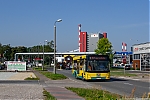 131_1.jpg