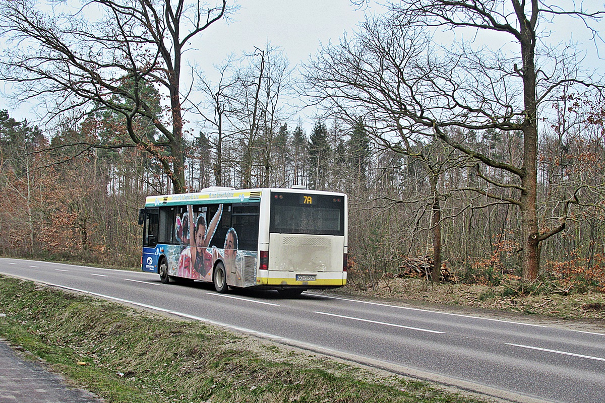 MAN NM223.2 MAN NM223.2
Charzykowy, ul. Szkolna. 
Słowa kluczowe: MZK_Chojnice