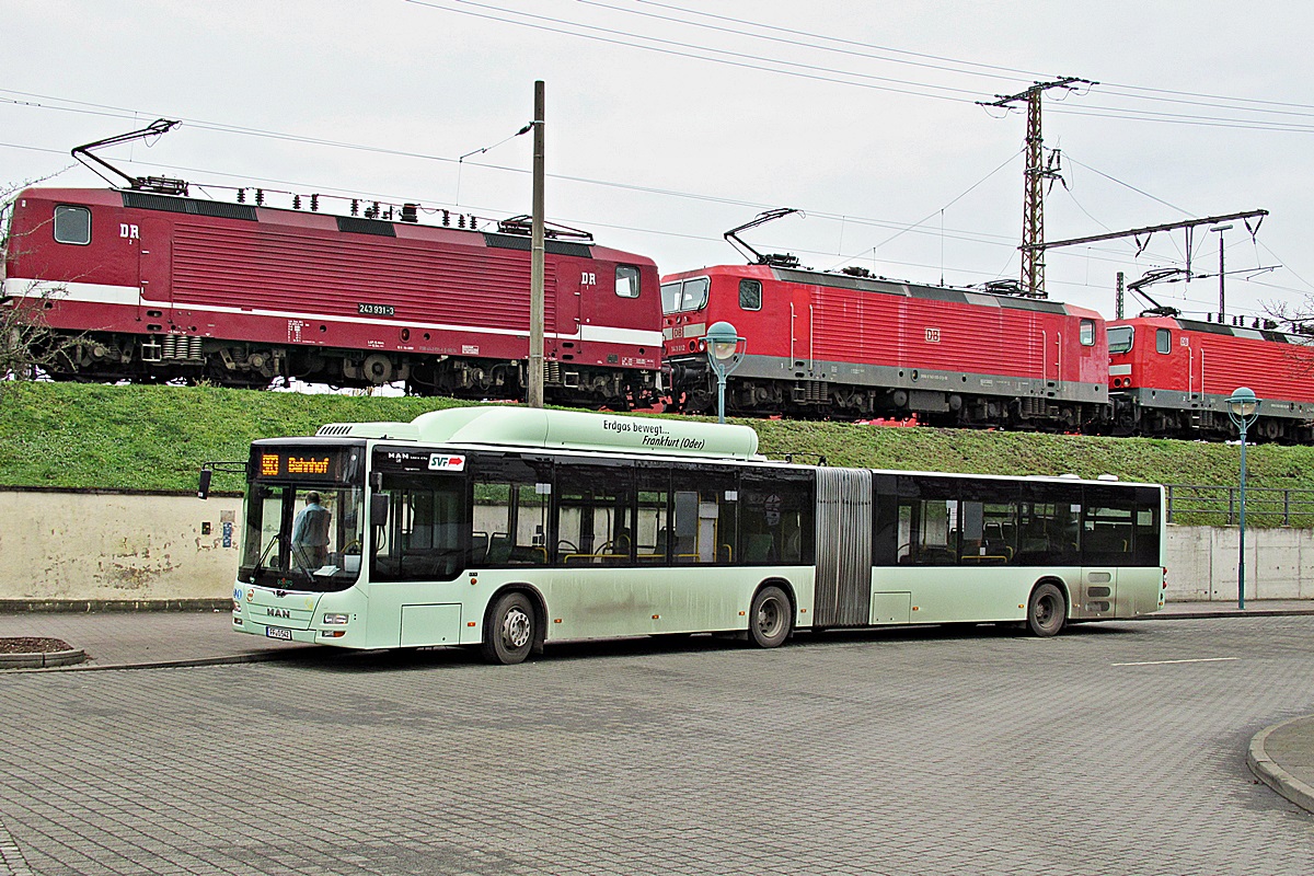 MAN NG313 Lion`s City G CNG FF-O 542
Frankfurt (Oder), Bahnhofsplatz.
Słowa kluczowe: SVF CNG