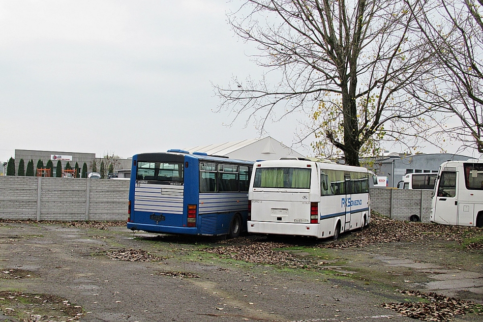 Solbus C9,5 PHN 81RX
Gniezno, baza miejscowego PKS-u przy ul. Kolejowej.
Słowa kluczowe: PKS