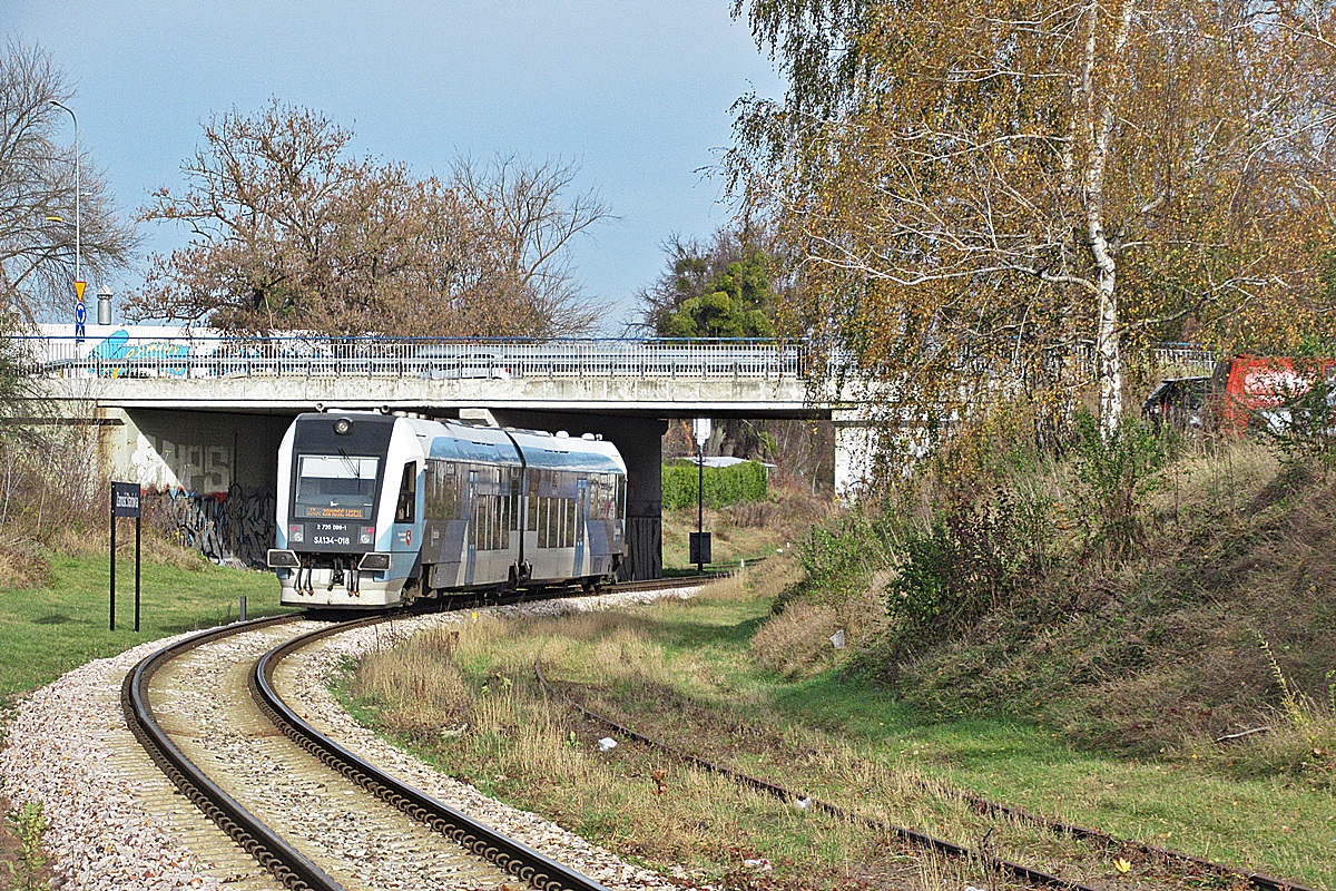 SA134-018
Pesobus jako R22401 relacji Lublin Główny - Zamość Wschód zbliża się do celu swojej podróży zostawiając za sobą przystanek osobowy Zamość Starówka. 
