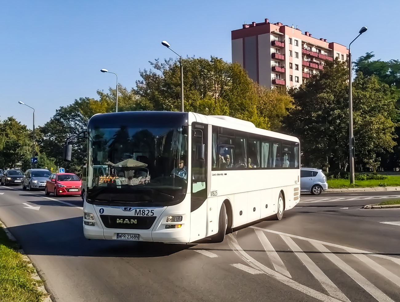 M825
Widoczny pojazd to MAN ÜL290 Lion`s Intercity. Jest to egzemplarz testowy MANa, wyprodukowany w 2019 roku, który został wypożyczony firmie Eurobus Malawa (z bazą w woj. Podkarpackim) i został skierowany do obsługi ZKA na odcinku Warka - Radom. Miałem okazję przejechać się nim, jadąc do Radomia i powiem szczerze, że dobry z niego wóz - cichy i wygodny. 
Słowa kluczowe: UL290 LionsIntercity M825 Radom ZKA 11Listopada Struga