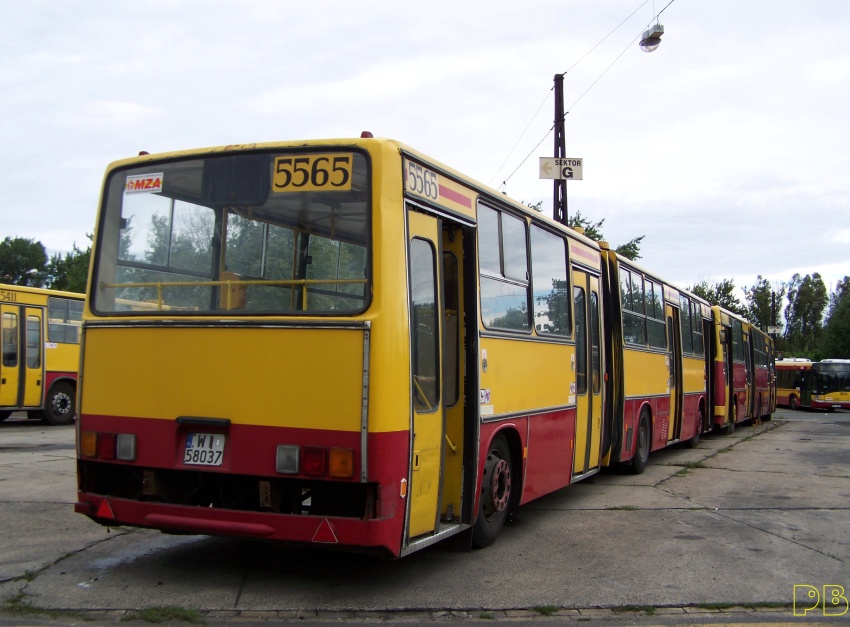 5565
Przed nim w kąciku ksacyjnym...
Słowa kluczowe: Ik280 5565 R11